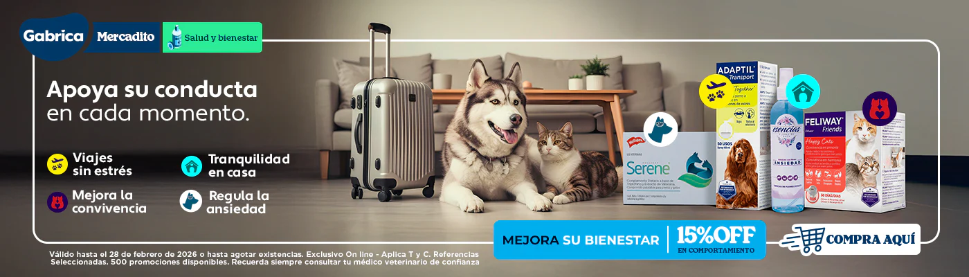 Estilo único para tu hogar