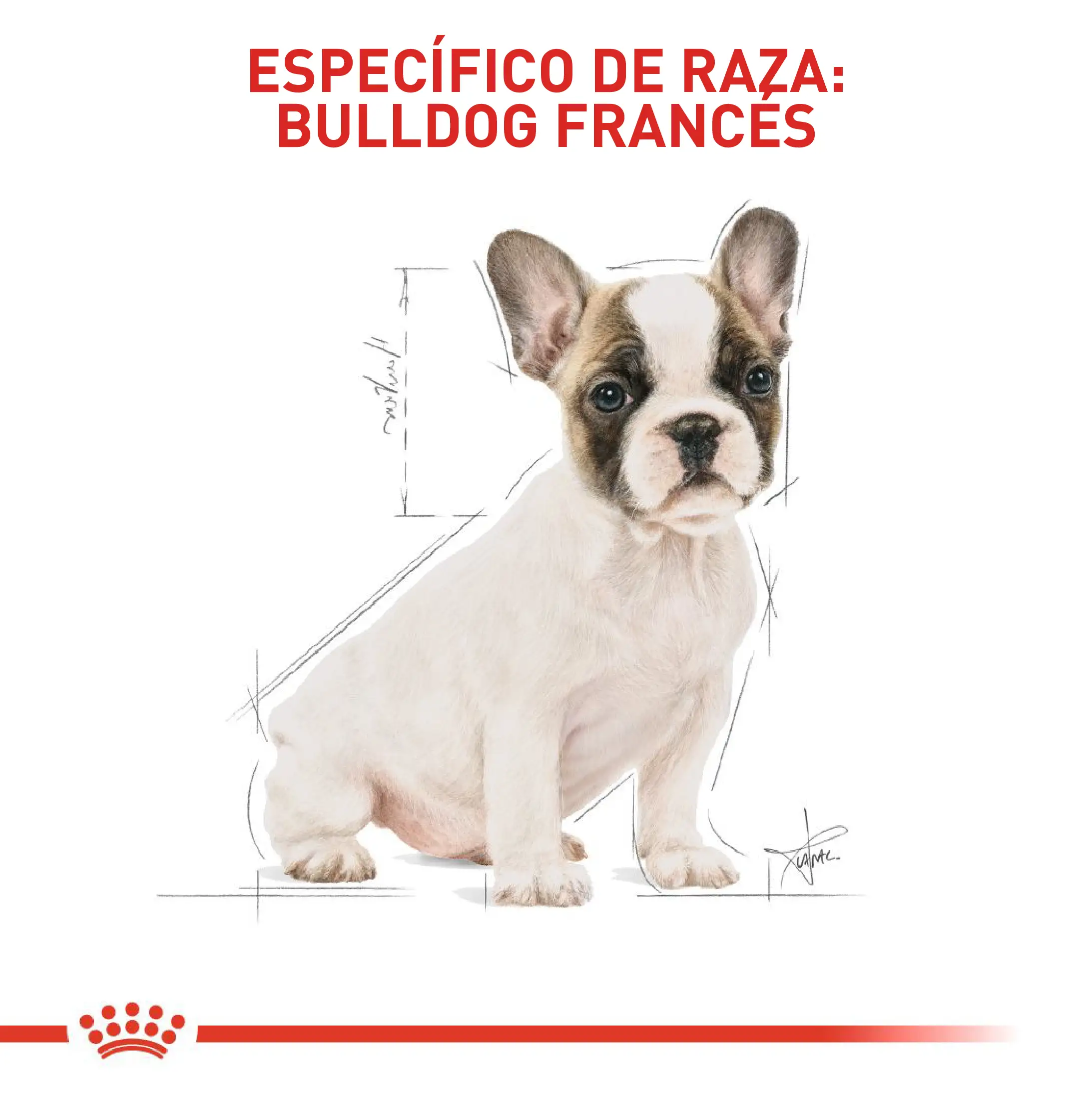 Comida Para Perro Royal Canin Bhn Bulldog Frances Puppy - Image 3