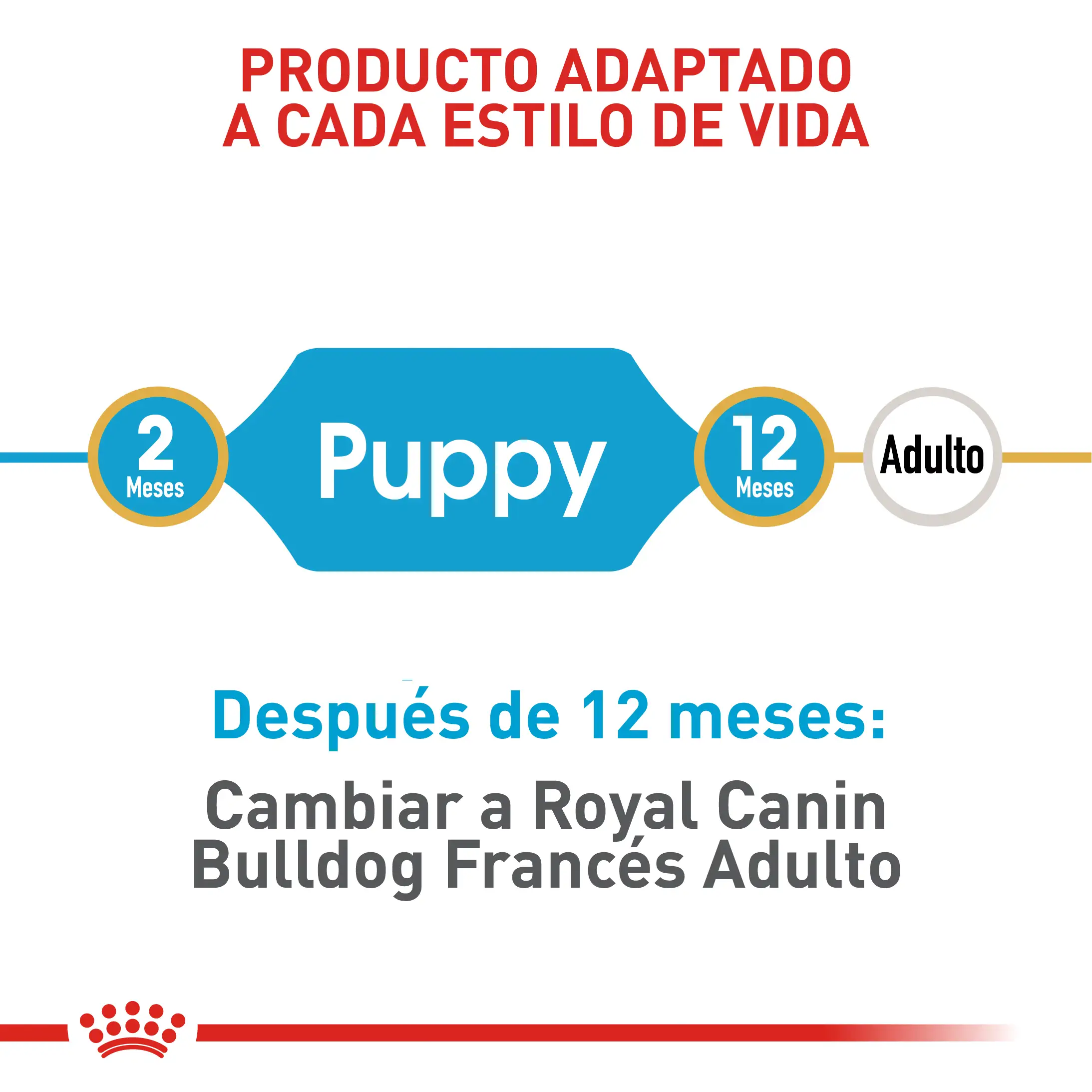 Comida Para Perro Royal Canin Bhn Bulldog Frances Puppy - Image 5