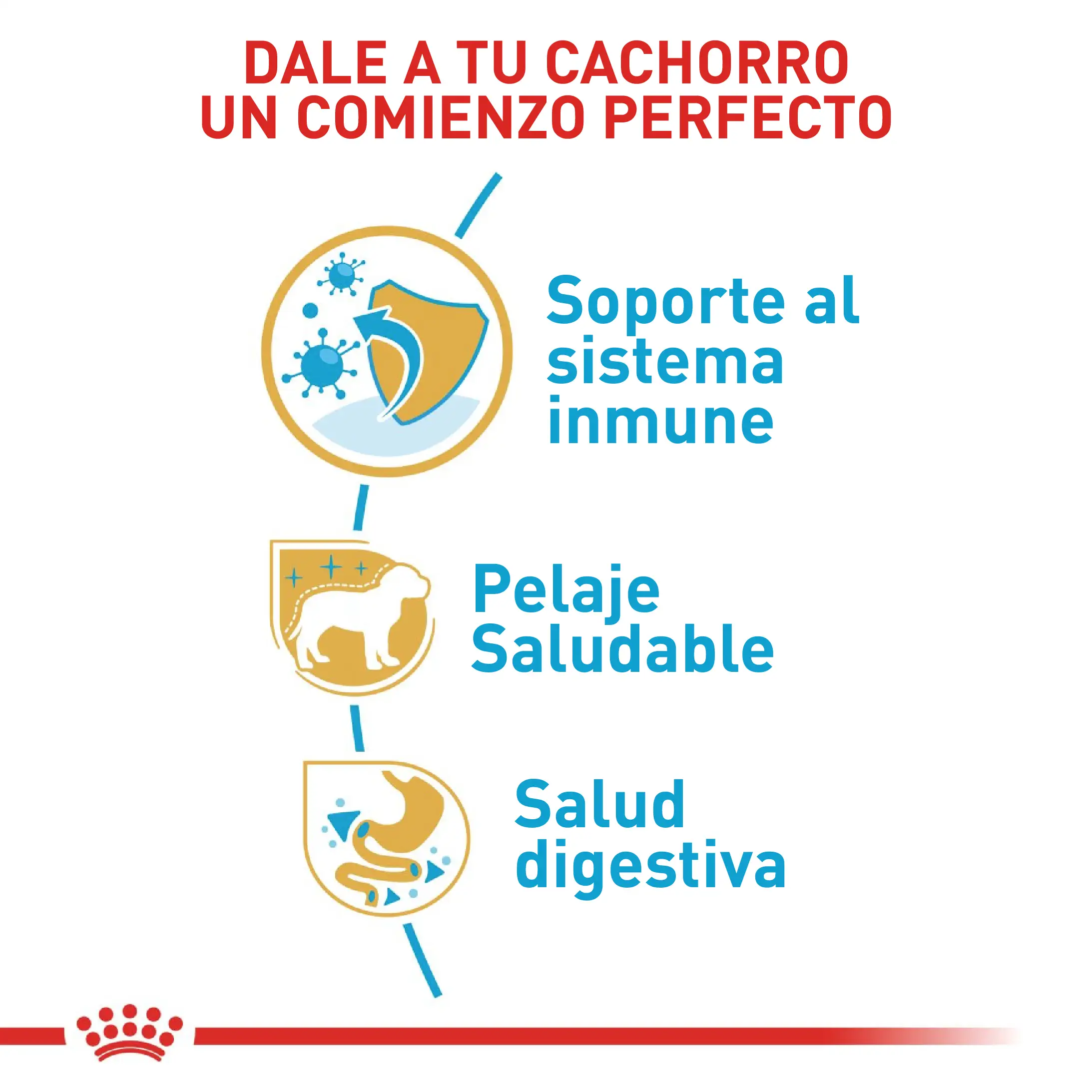 Comida Para Perro Royal Canin Bhn Poodle Puppy x 3 Kg - Image 2