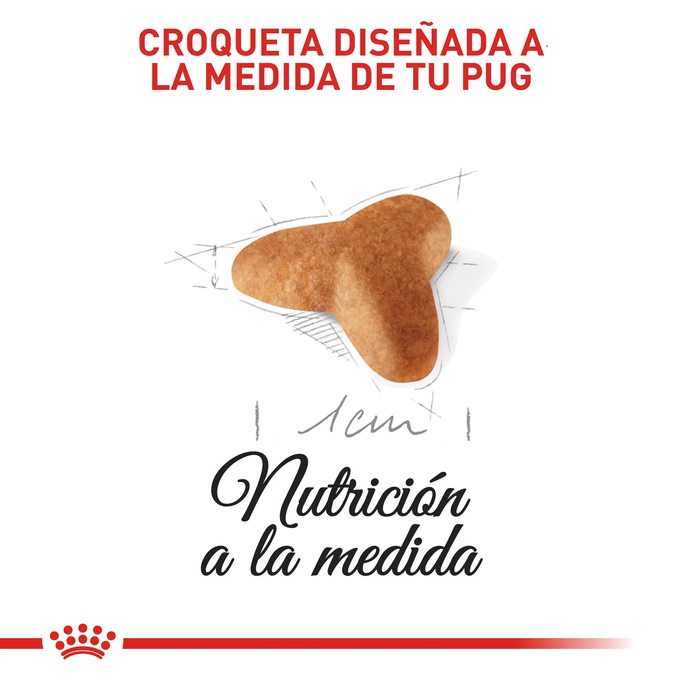 Comida Para Perro Royal Canin Bhn Pug Puppy x 1.13 Kg - Image 2