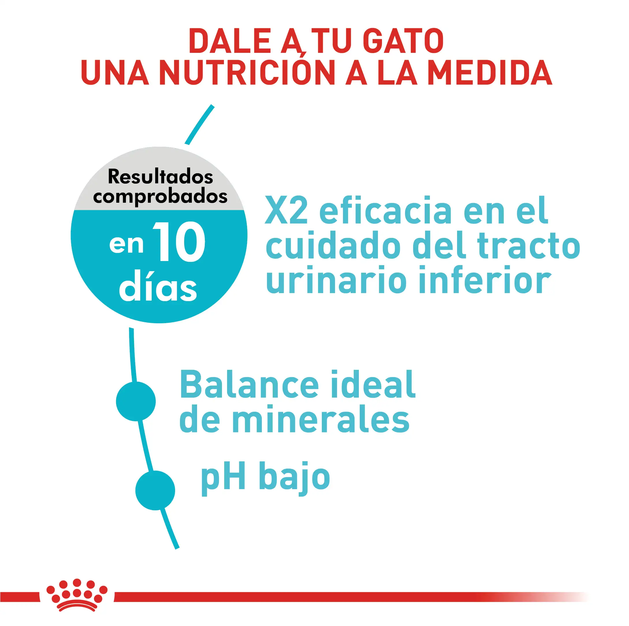 Alimento Royal Canin Fcn Urinary Care Cat 2Kg - Image 2