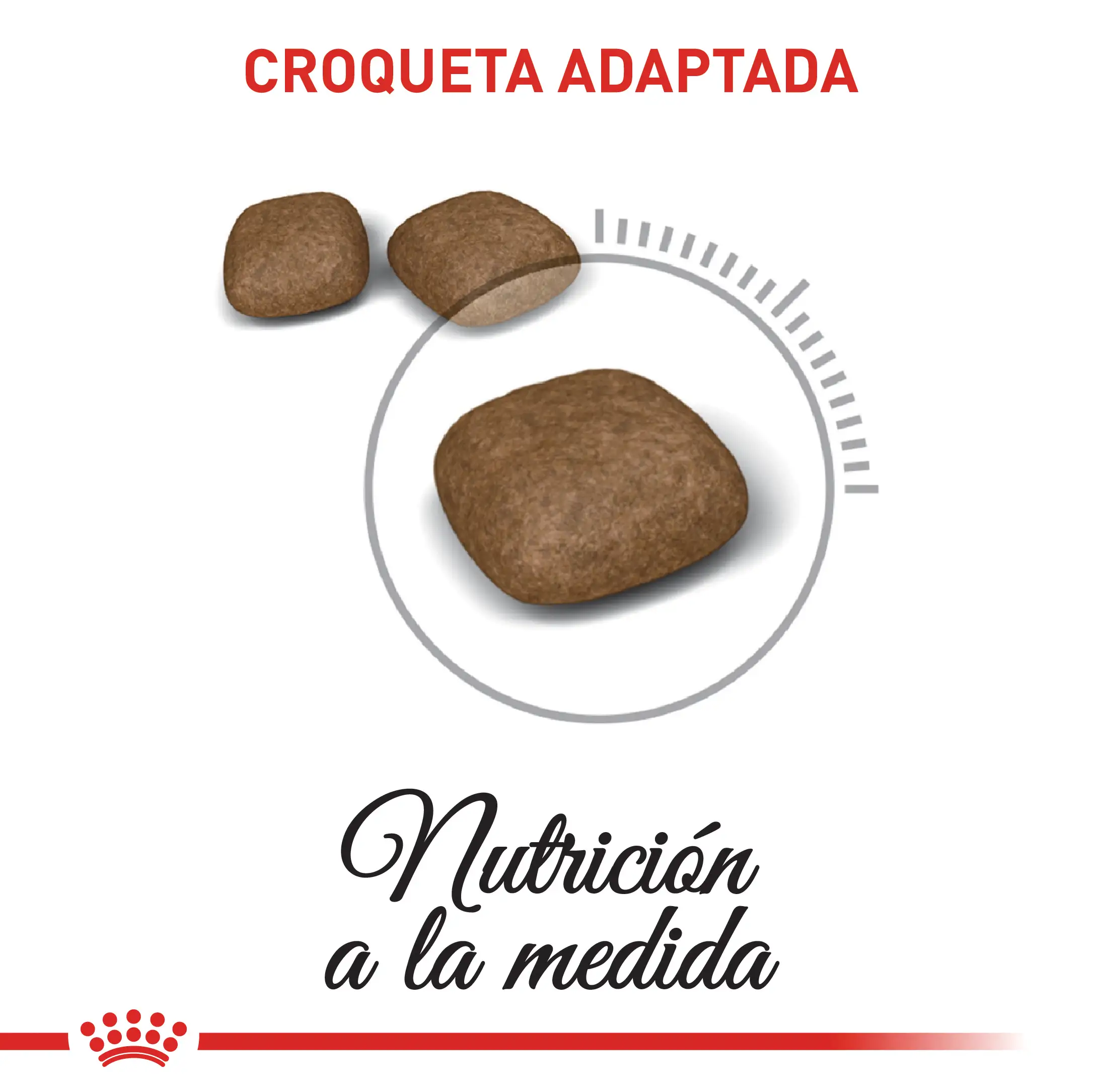 Alimento Royal Canin Fcn Urinary Care Cat 2Kg - Image 3