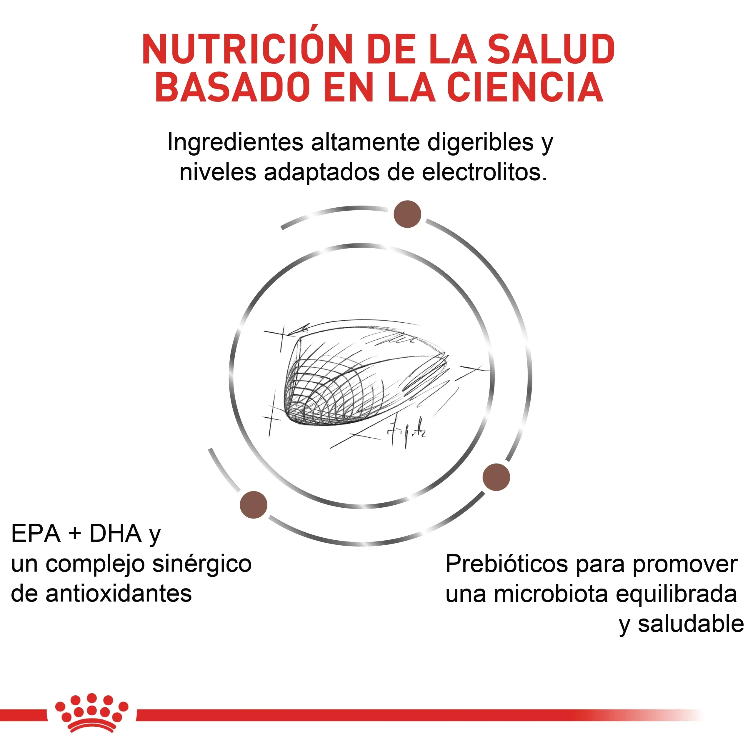 Comida Para Perro Royal Canin Vhn Gastrointestinal Canino - Image 4