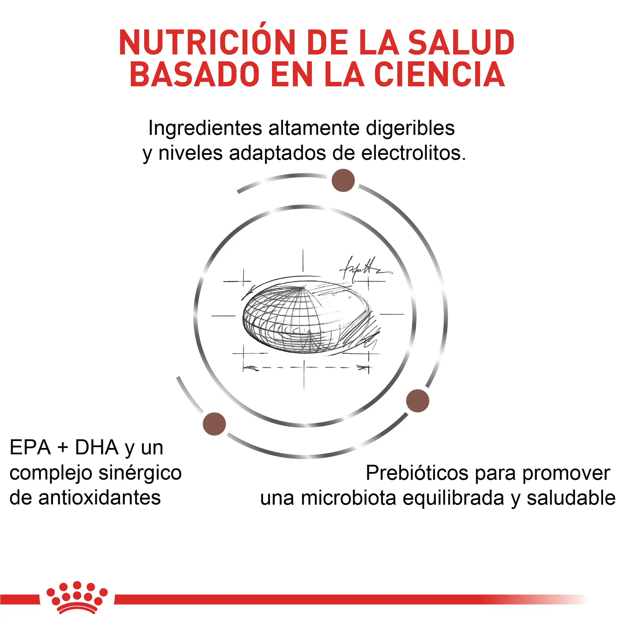 Comida Para Gato Royal Canin Vhn Gastrointestinal Moderate Calorie 2Kg - Image 4