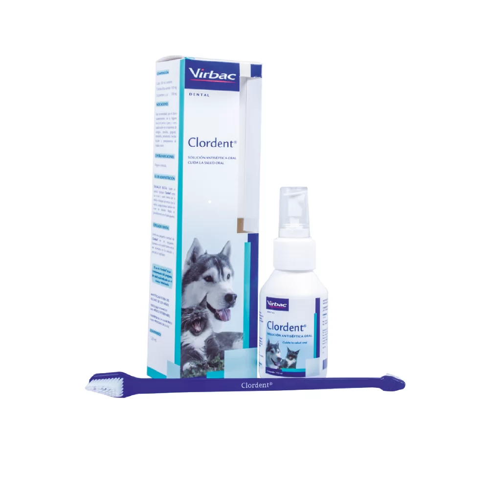 Clordent X 120 ML