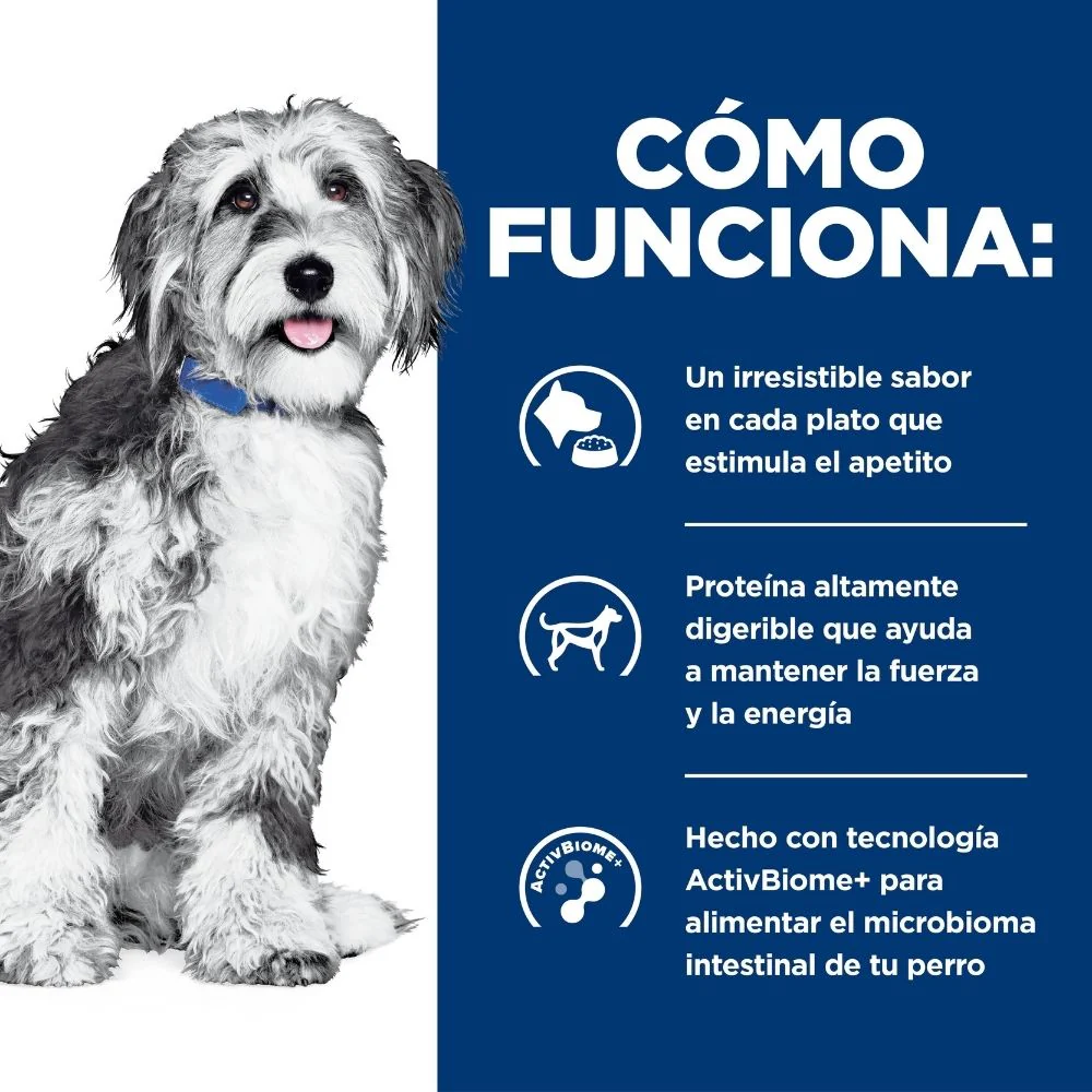 Hill's Prescription Diet Onc Care Concentrado para perro apoyo y recuperación cancer - Image 3