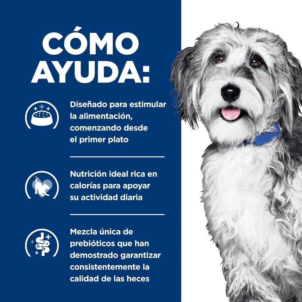 Hill's Prescription Diet Onc Care Concentrado para perro apoyo y recuperación cancer - Image 4