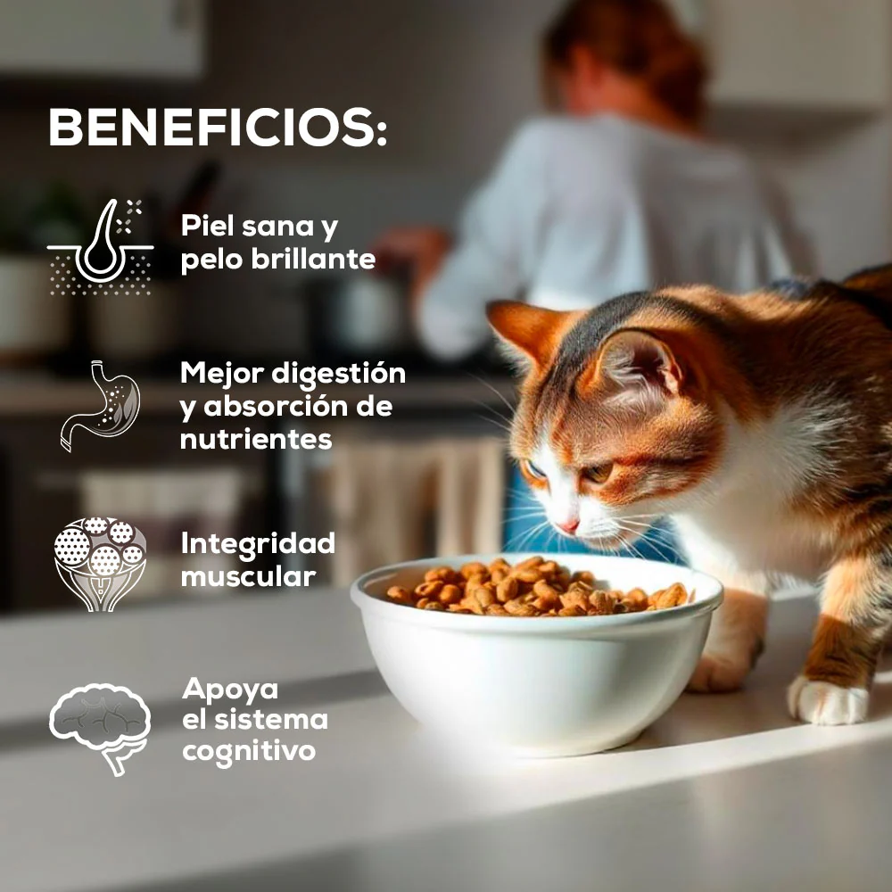 Comida para Gato Grandvita adulto - Image 3