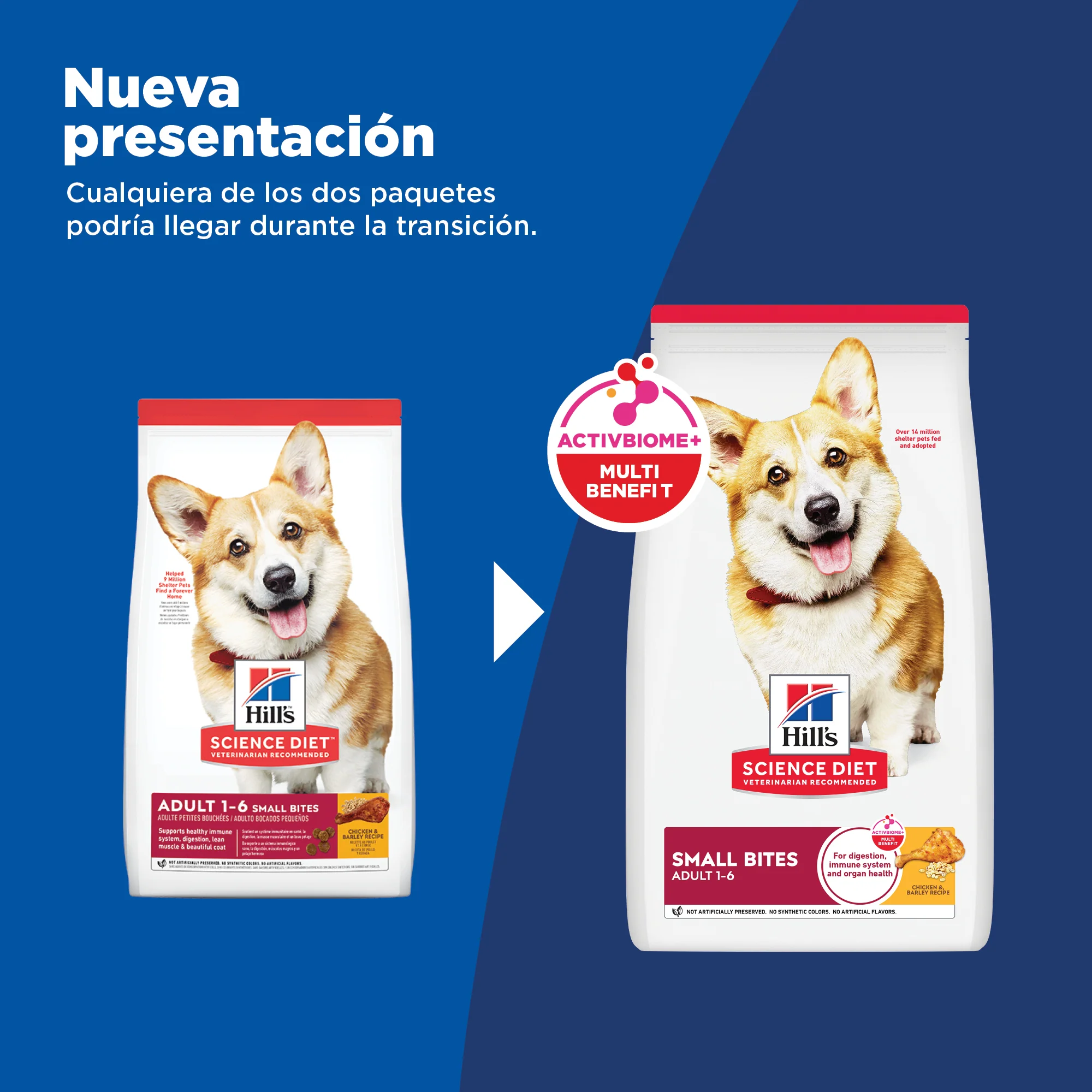 Hill's Science Diet Adult alimento para perro adulto raza pequeña sabor cordero