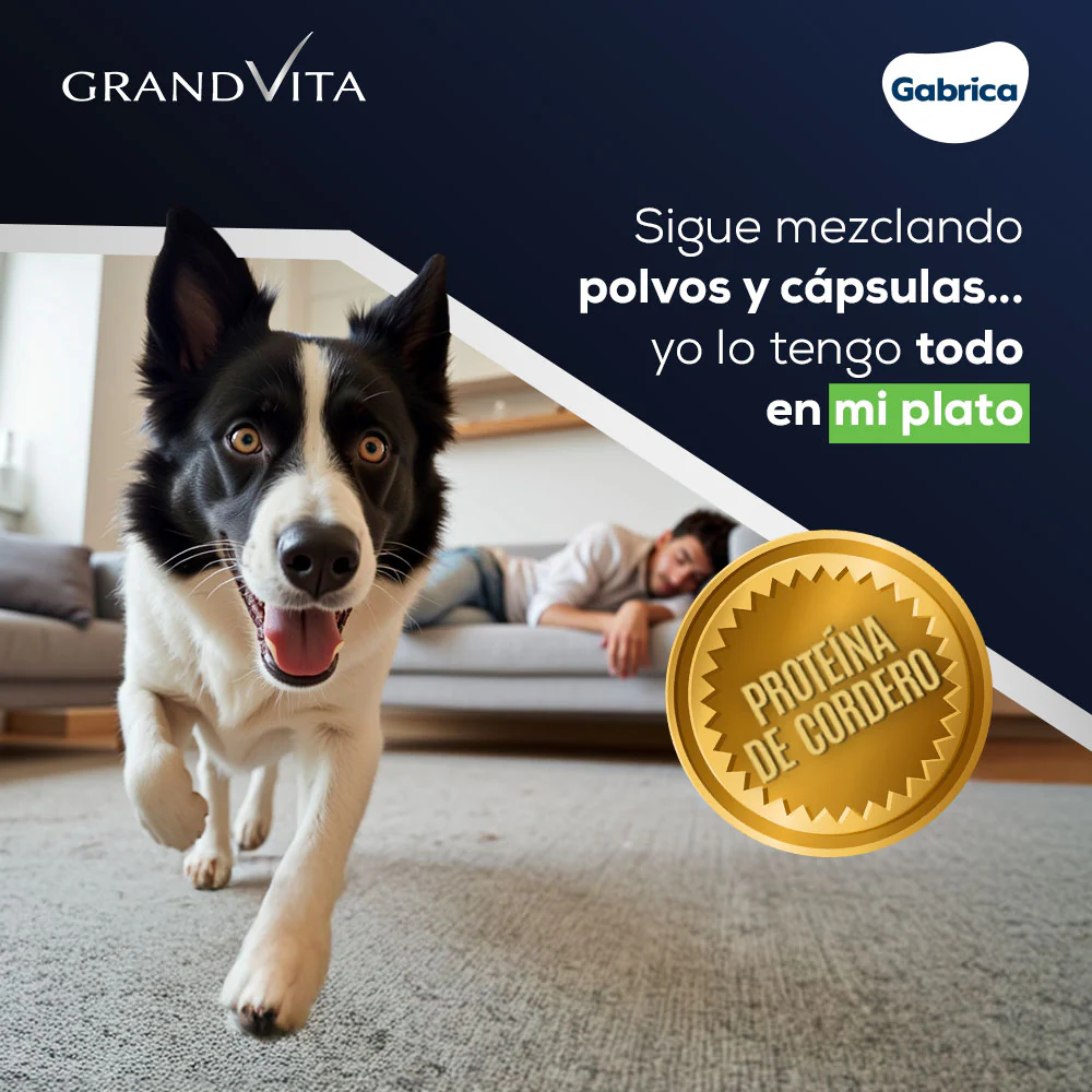 Comida Para Perro Grand Vita Adulto - Image 3