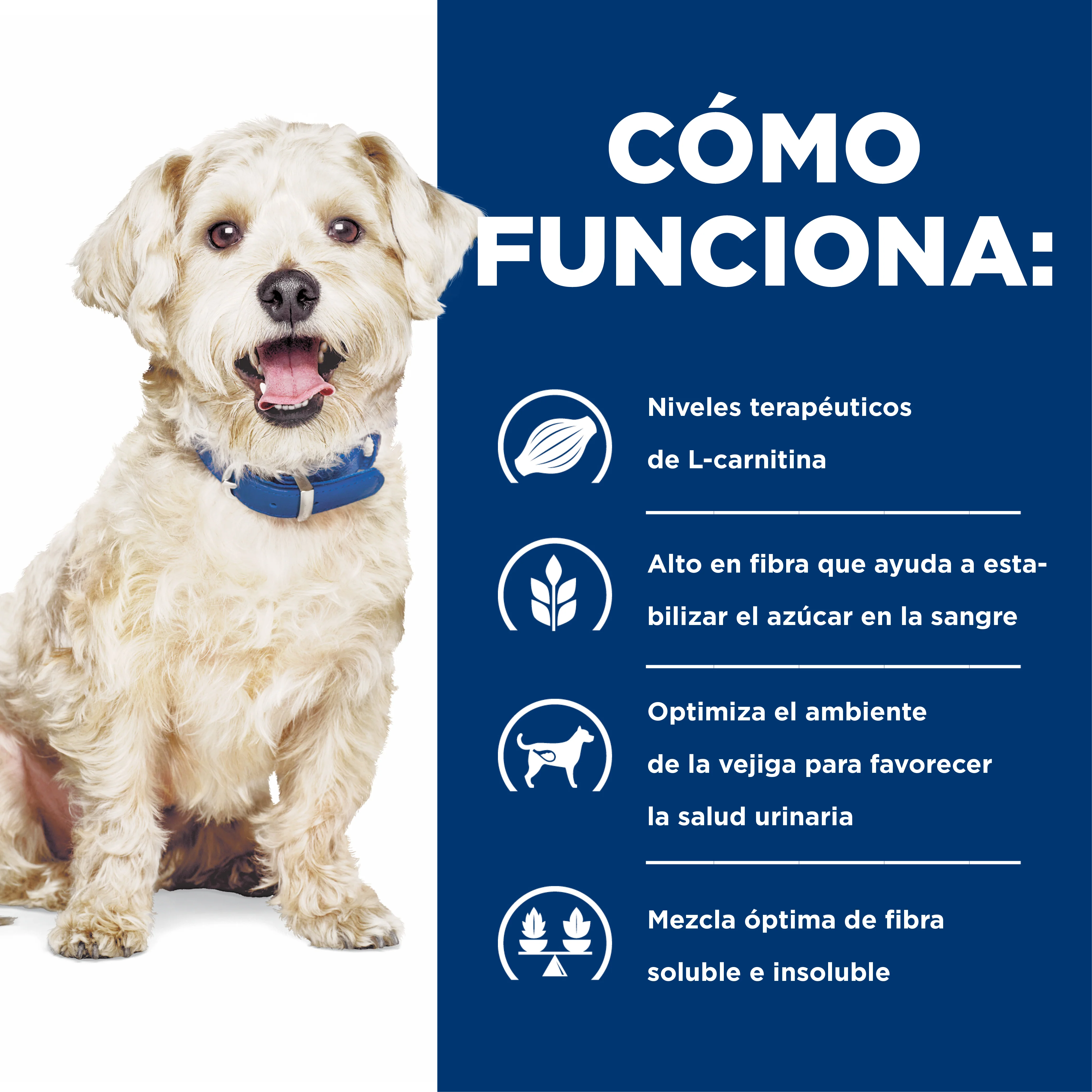 Hill's Prescription Diet w/d Comida Húmeda para Perro Manejo Peso/Glucosa 13 Oz (369g) - Image 4